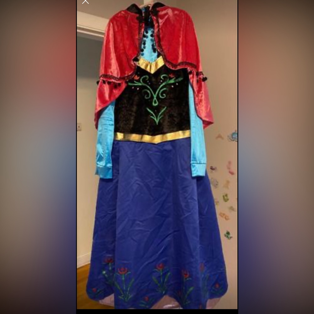Adult Anna dress